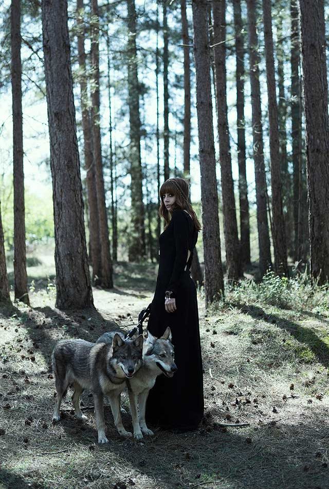 Photoshoot with wolves